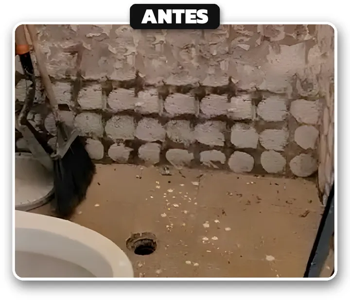 Baño: antes de la remodelación